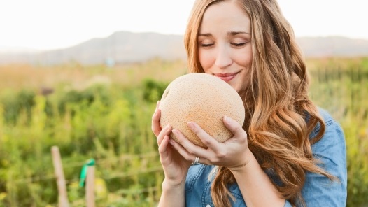 Benarkah Ibu Hamil Tidak Diperbolehkan Mengasup Buah Melon? 1